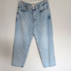 Triarchy Organic Cotton High Rise Light Blue Straigth Leg Denim Jeans Size 32